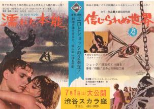 �G�ꂽ�{�\�^�M�����ʐ��E