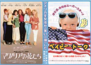 �}�O�m���A�̉Ԃ����^�x�C�r�[�E�g�[�N