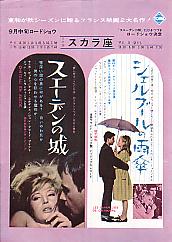 �X�G�[�f���̏�^�V�F���u�[���̉J�P