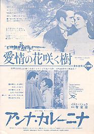 ����̉ԍ炭���^�A���i�E�J���[�j�i