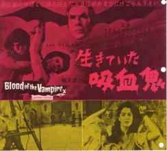 �����Ă����z���S