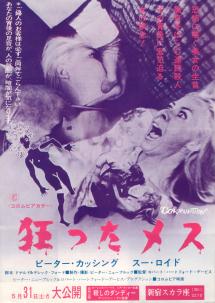 ���������X