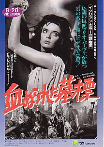 ���ʂ�ꂽ��W