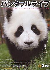 �p���_�t�����C�t