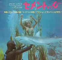 �Z�����g�̏�