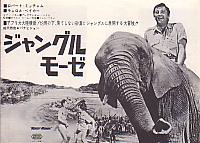 �W�����O���E���[�[