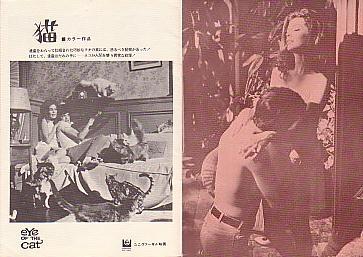 �L�i���ʁj