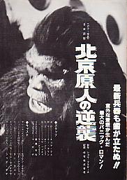 �k�����l�̋t�P�i���ʁj