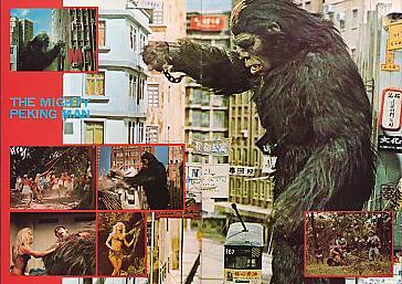 �k�����l�̋t�P�i���ʁj