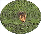 �A�i�R���_