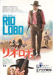 ���I�E���{